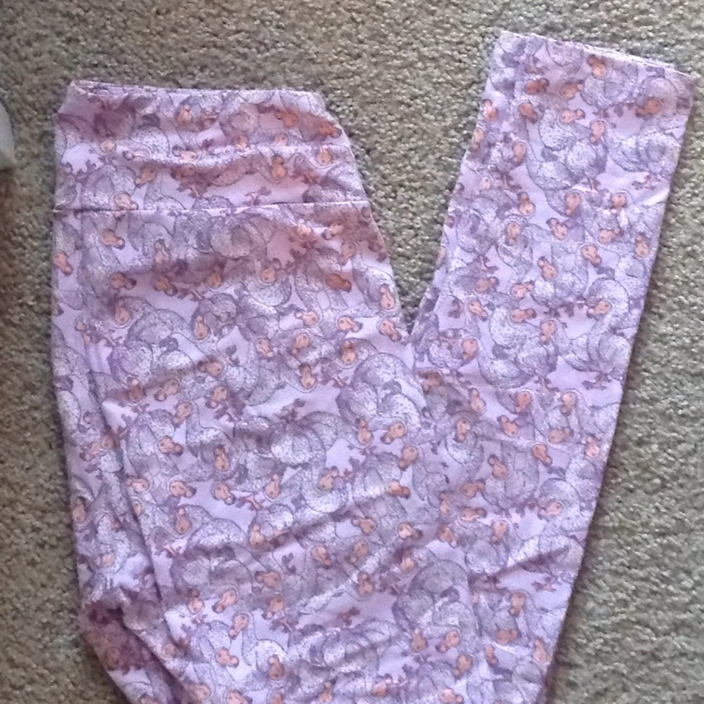 Dodo bird lularoe leggings one size